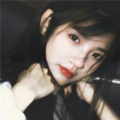 绽放的带刺玫瑰